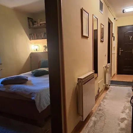 In The Zara Apartment-centre Of The Pensjonat