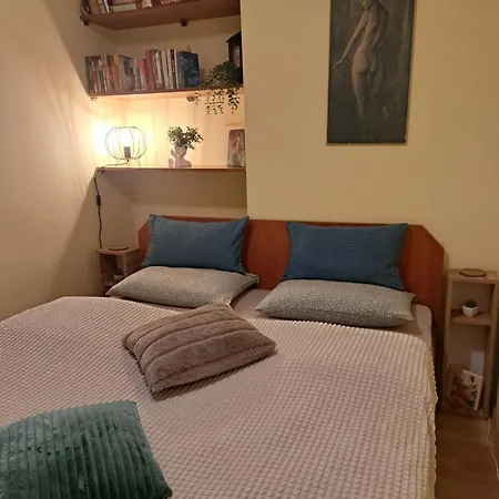 In The Zara Apartment-centre Of The Pensjonat *